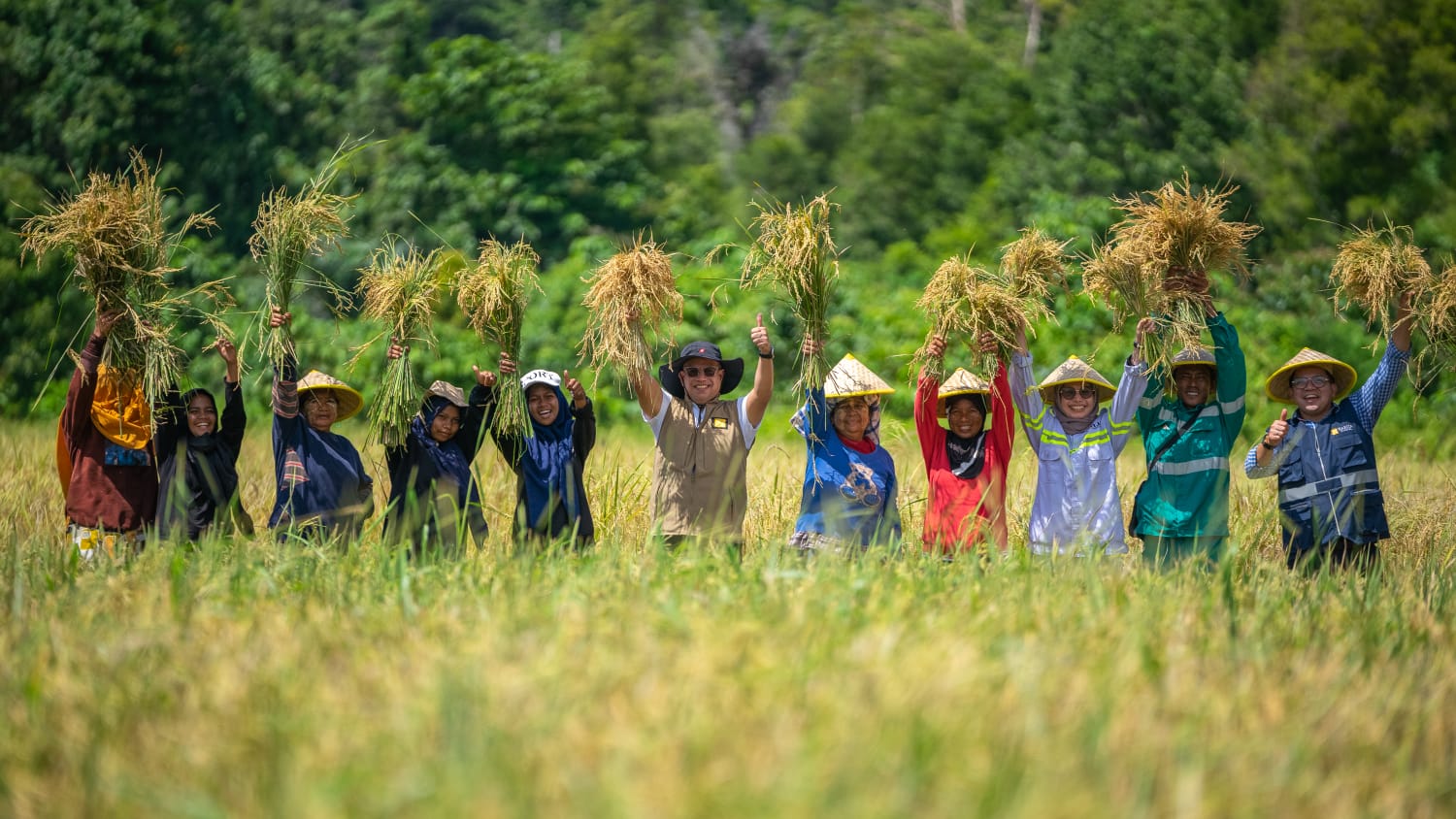 Kegiatan Panen Raya Padi oleh Harita Nickel bersama petani setempat./Ilo
