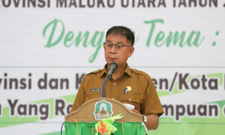 Ir. Saiful Turui, Sekda Halmahera Selatan 