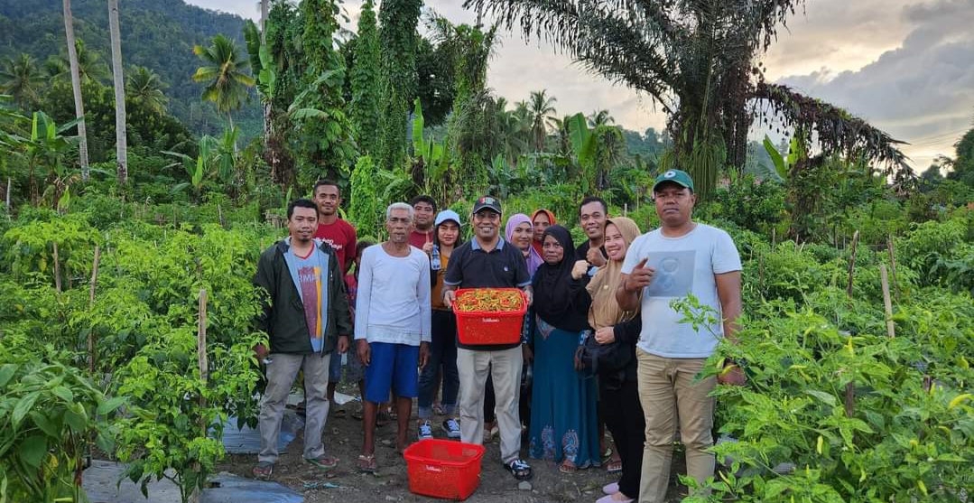 Jasri Usman usai memanen cabe bersama kelompok Tani Togale sejahtera./jmg