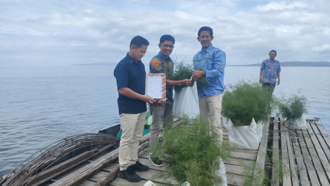 Foto penyerahan bantuan bibit Cemara ke Pemkab Halsel.