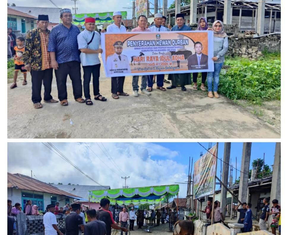 Bantuan Hewan Kurban di Desa Galala. (Istimewa)