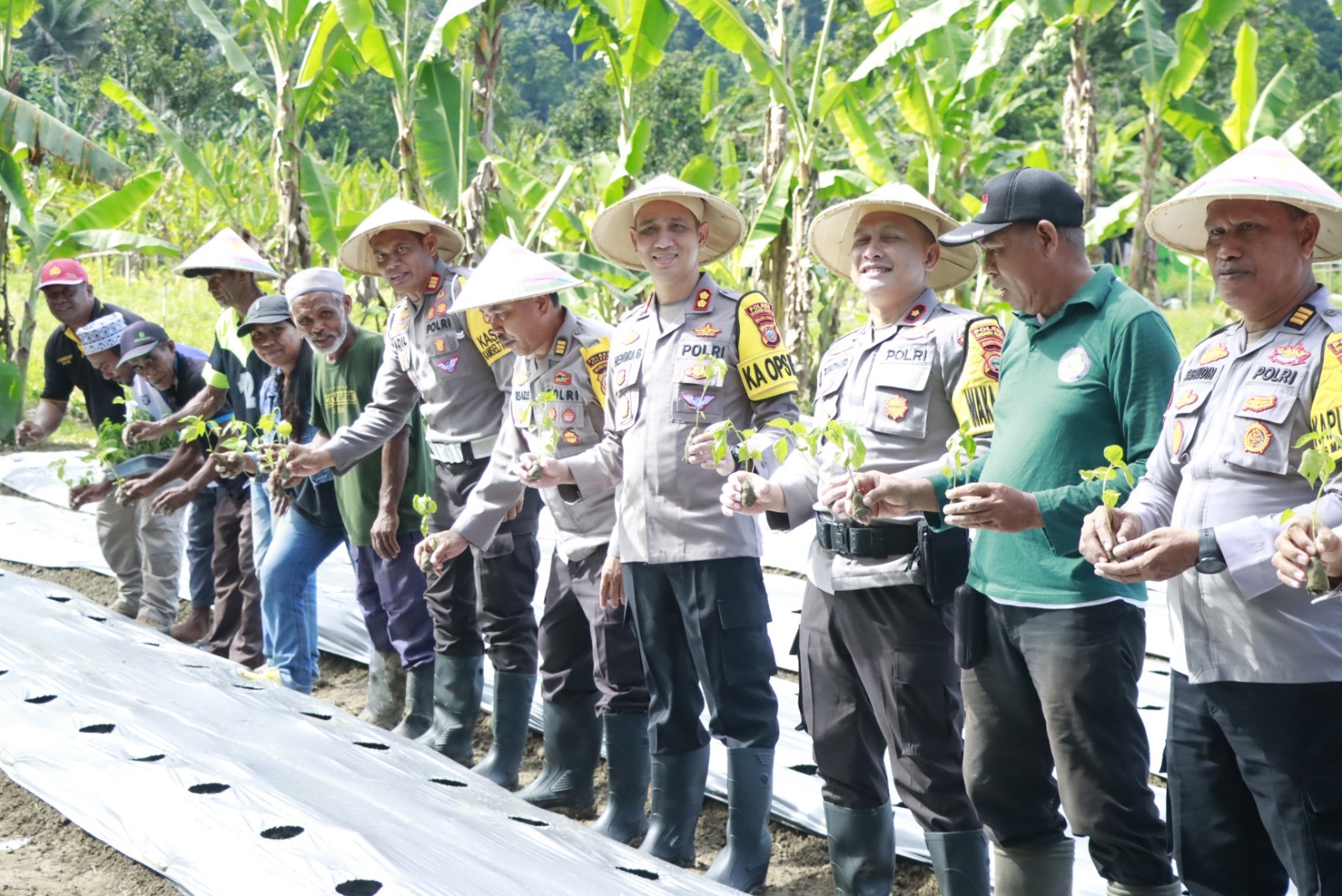 Gelar Gerakan Tanam Pangan Polres Halsel (Istimewa)