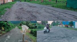 Kondisi ruas jalan Panamboang, Kecamatan Bacan Selatan, Kabupaten Halmahera Selatan.|foto jarumSatu.com