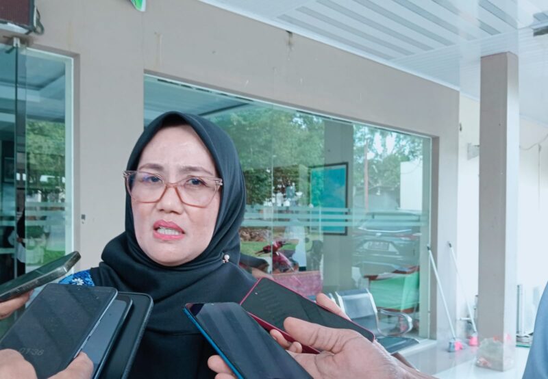 Ket: Kepala Dinas Kesehatan Kabupaten Halmahera Selatan, Asia Hasyim. |foto jarumSatu.com