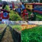 Ket: Jumat Bersih di Desa Laiwui, Jumat (24/04/2026).|foto jarumSatu.com