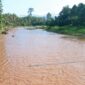 Ket: Sungai Yang Tercemar.| foto jarumSatu.com