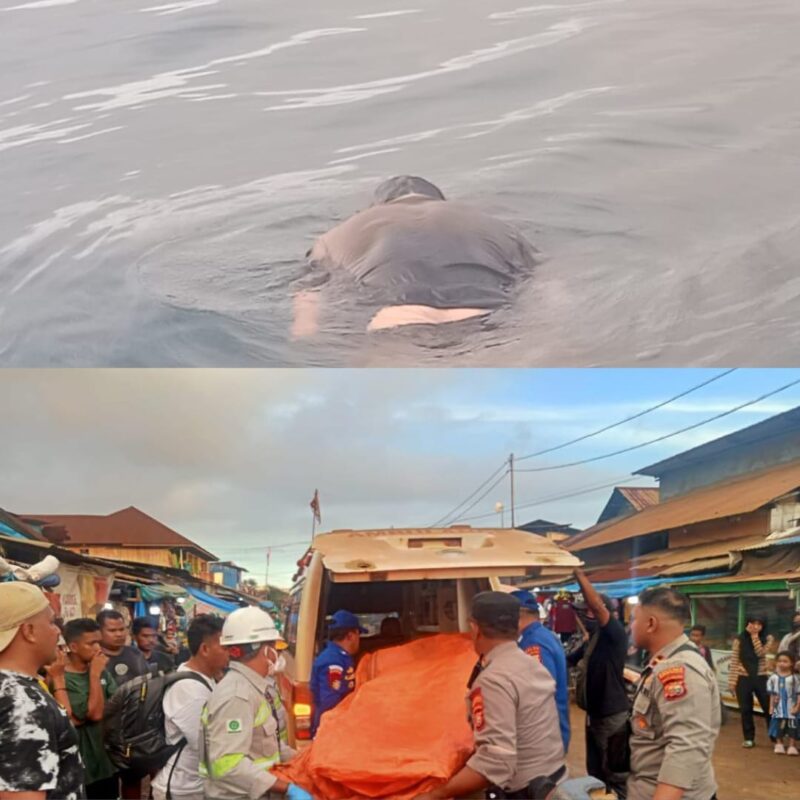 Ket: penemuan sesosok mayat Kariyawan PT.HJF berjenis kelamin laki-laki yang terapung di perairan sekitar desa tersebut, Rabu (17/6/2026) sore.