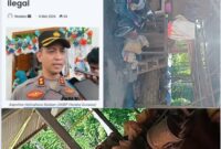 Ket: Kapolres Halsel Disudut Fakta Lapangan: Police Line Masih Terpasang, Tambang Emas Kubung Diduga Tetap Beroperasi.
