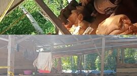 Ket: Aktivitas Tambang Emas Kubung kec.bacan Selatan 