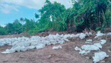 Ket:Lokasi Pengambilan tanah  Topsoil ilegal di Desa Hidayat Kecamatan Bacan.
