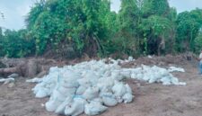 Ket: Lokasi Pengambilan Tanah Topsoil Desa Hidayat Kec.Bacan.